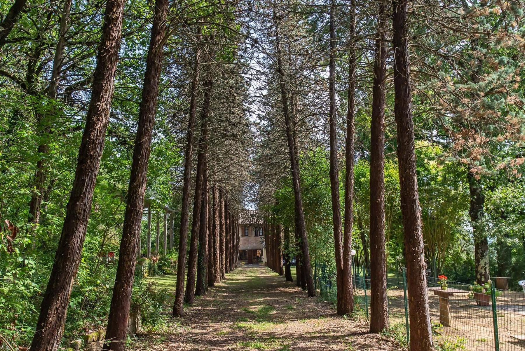Agriturismo Villa Alari Cetona Kültér fotó